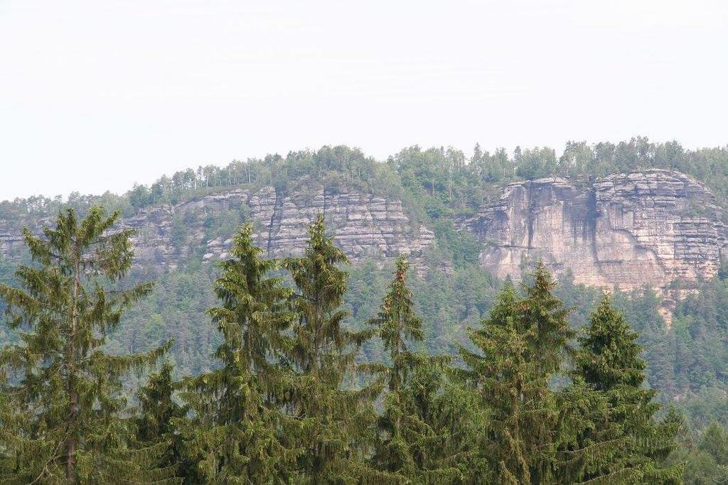 Penzion U Maresu Hřensko Exterior foto
